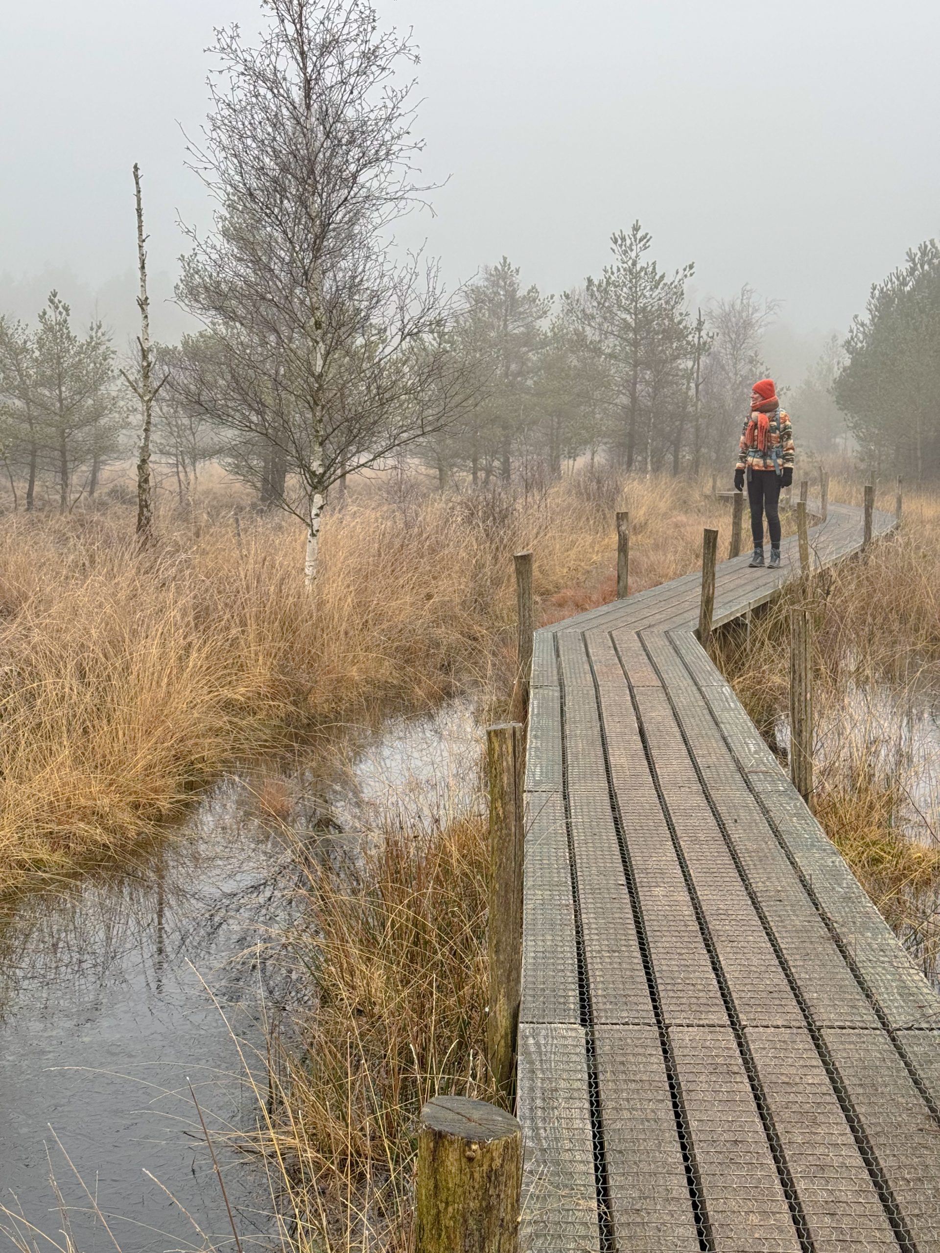 Vlonderpad Dwingelderveld