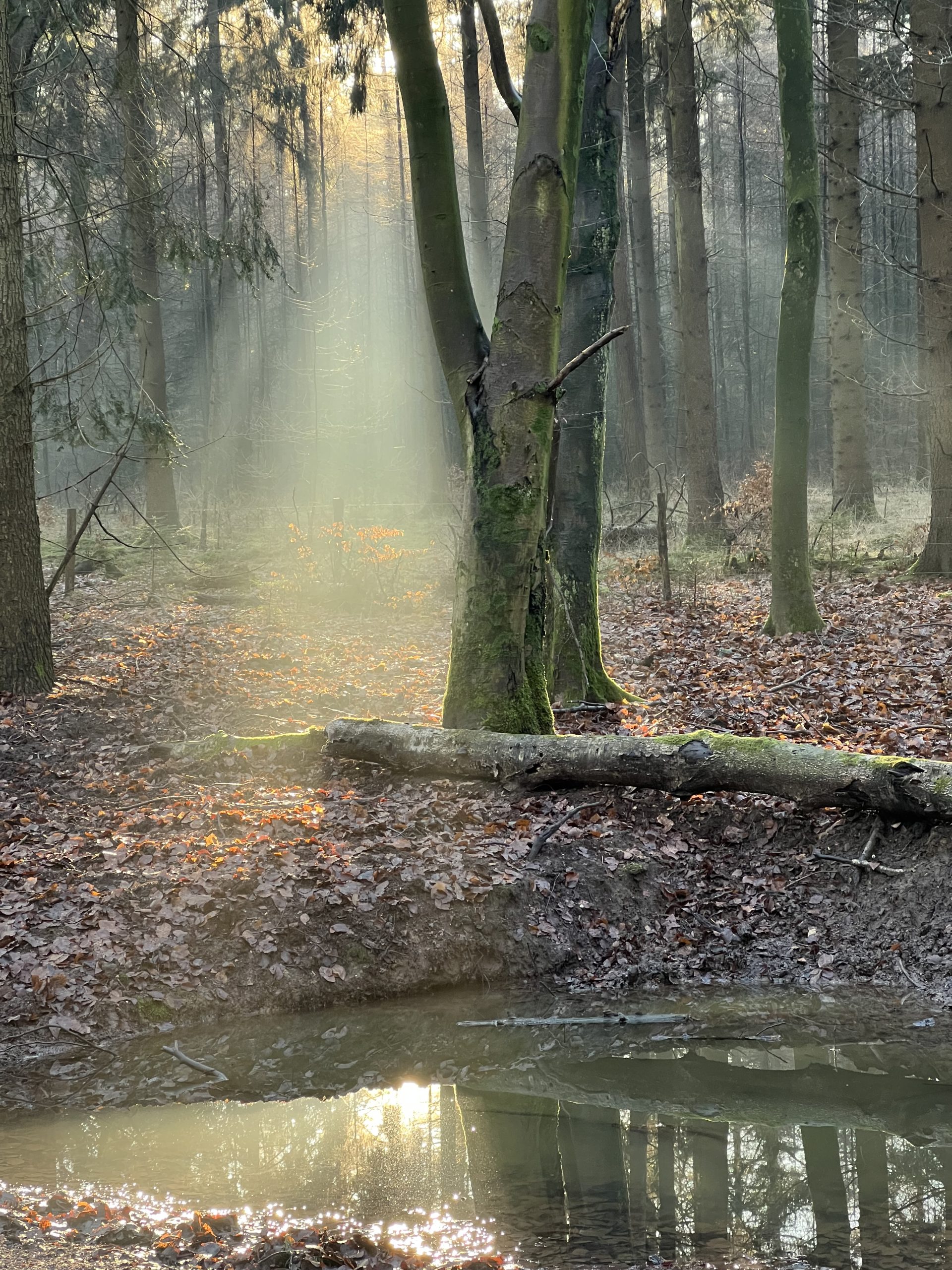 Nationaal park Veluwezoom